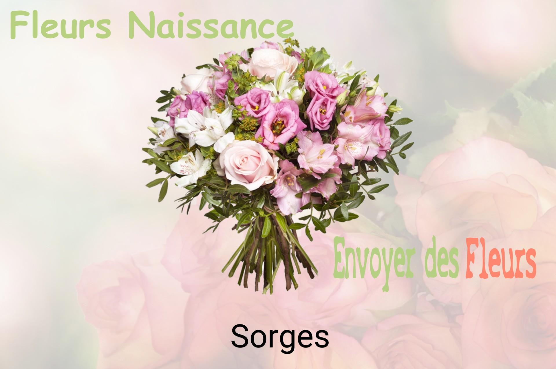 Bouquet de fleurs de naissance livré à Sorges